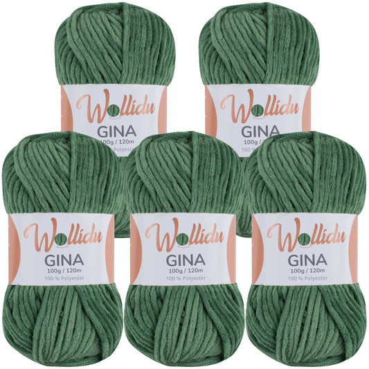Wollidu Gina 100% Polyester 5 x 100g/120m - Grün