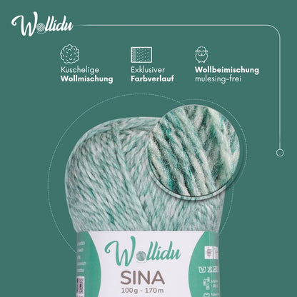 Wollidu Sina Strickwolle Häkelwolle 80% Polyacryl 20% Wolle 5x 100g/170m - Minze Grün Melange