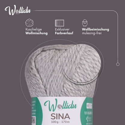 Wollidu Sina Strickwolle Häkelwolle 80% Polyacryl 20% Wolle 5x 100g/170m - Grau