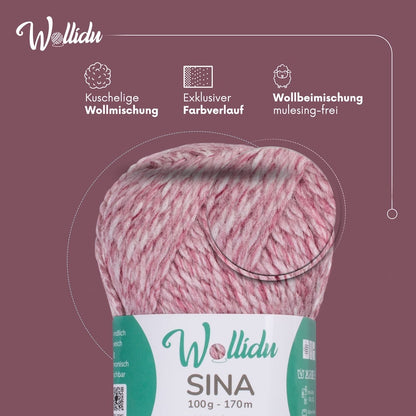 Wollidu Sina Strickwolle Häkelwolle 80% Polyacryl 20% Wolle 5x 100g/170m - Altrosa Melange