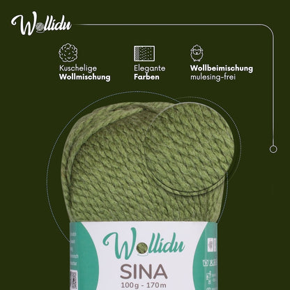 Wollidu Sina Strickwolle Häkelwolle 80% Polyacryl 20% Wolle 5x 100g/170m - Grün