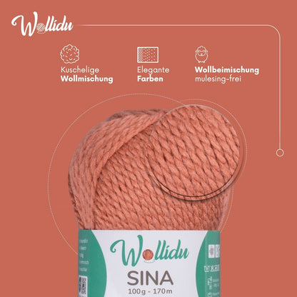 Wollidu Sina Strickwolle Häkelwolle 80% Polyacryl 20% Wolle 5x 100g/170m - Erdrosa
